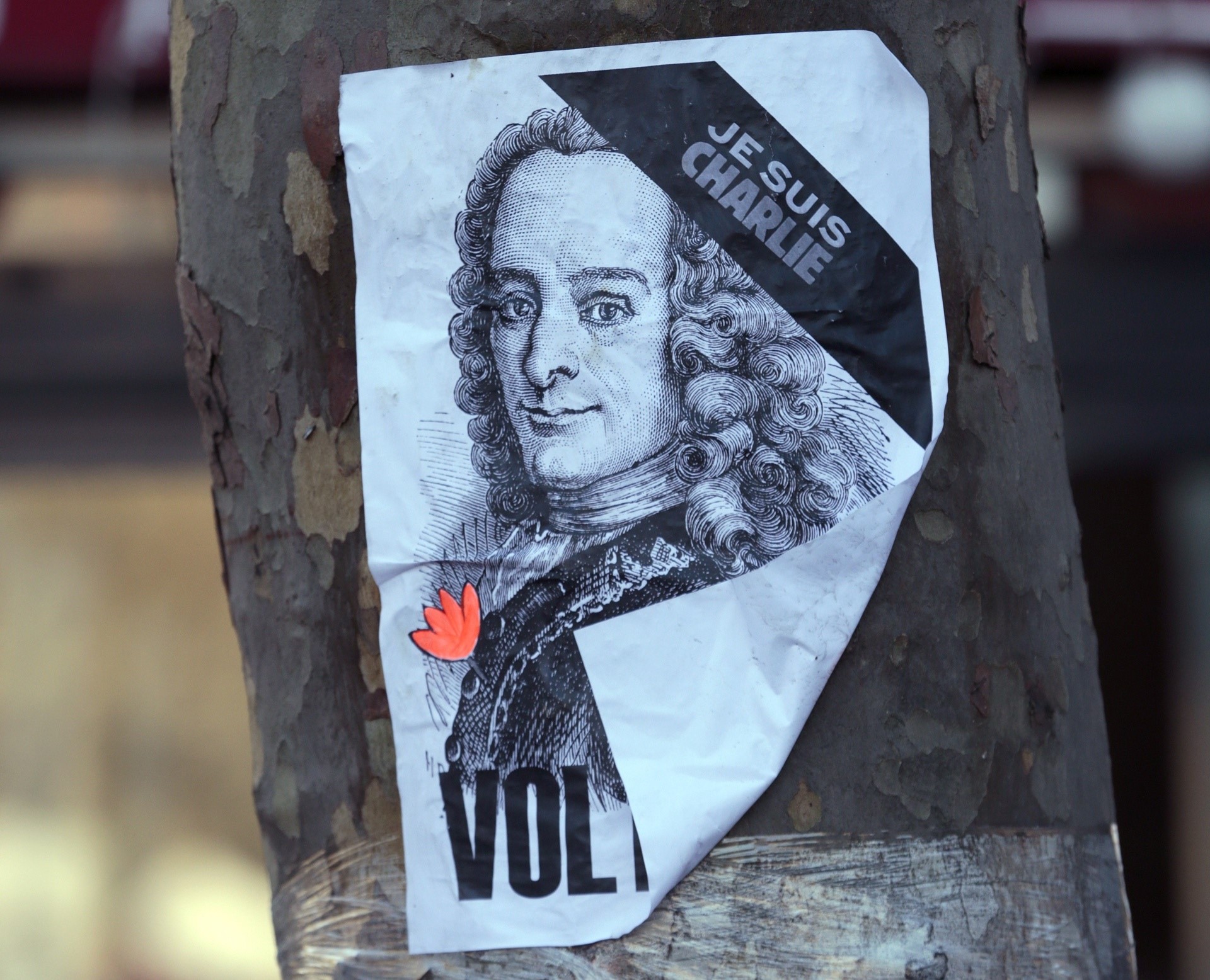 How did Voltaire contribute to the Enlightenment?